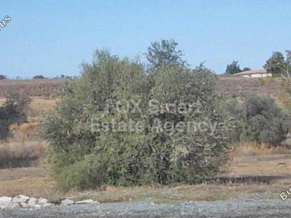 plot for sale tseri nicosia 1152416 image 5153699