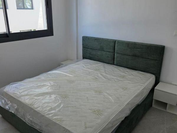 2 bedroom apartment for rent paphos municipality paphos 8769516 image 16572409