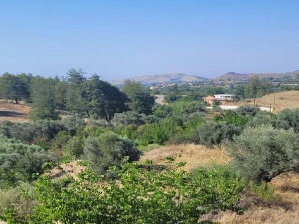 4 bedroom detached house for sale korakou nicosia 1100516 image 16246385