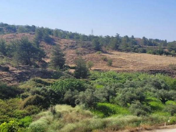 4 bedroom detached house for sale korakou nicosia 1100516 image 16246386