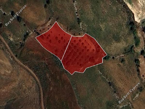 land for sale ineia paphos 8022516 image 15595910