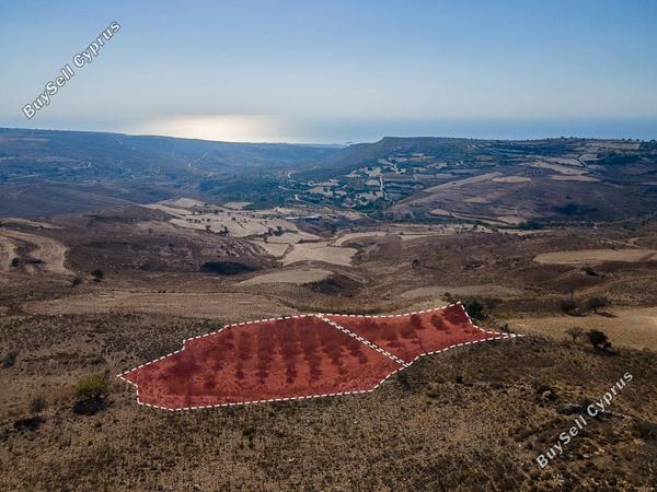land for sale ineia paphos 8022516 image 15595917
