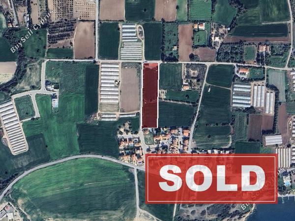 land sold maroni larnaca 8554516 image 15555013