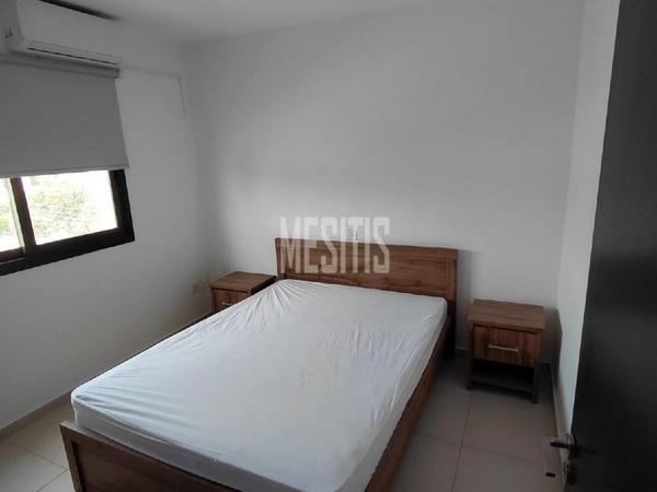 2 bedroom apartment for rent aglantzia nicosia 8495616 image 16598429