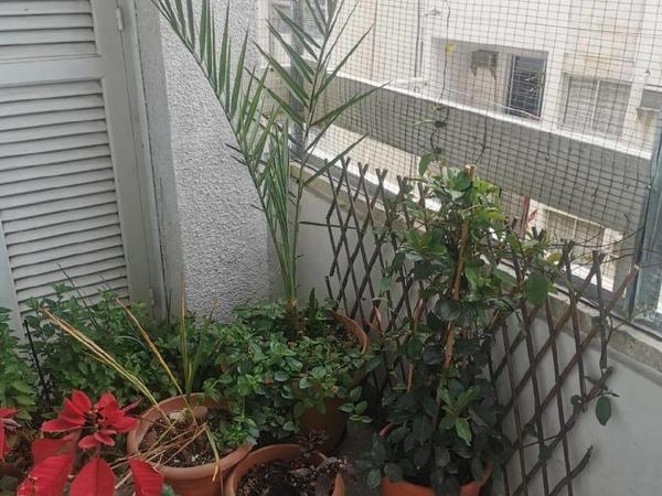 3 bedroom apartment for sale chrysopolitissa larnaca 8649616 image 16172556