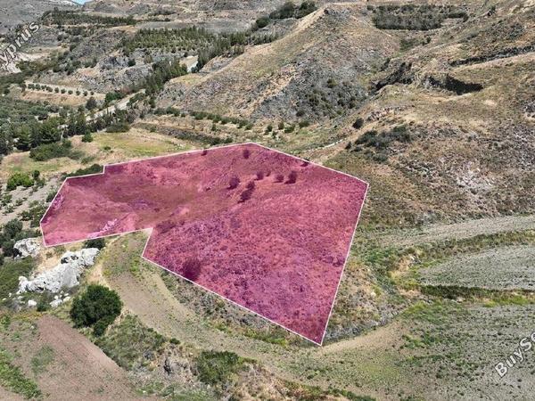 land for sale agia varvara paphos 8237616 image 14231429