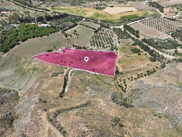 land for sale agia varvara paphos 8237616 image 14231445