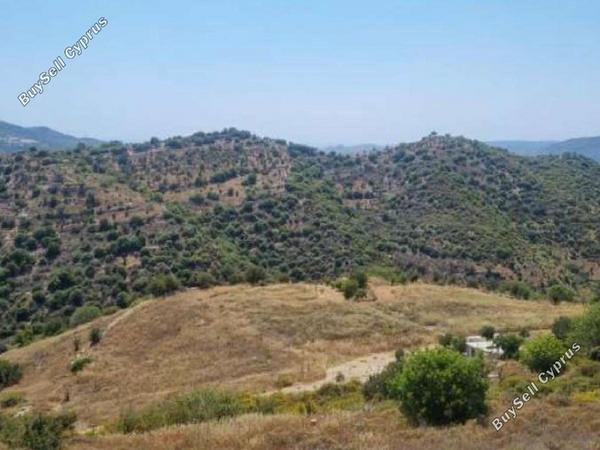 land for sale dora limassol 8726616 image 16332791