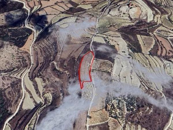 land for sale tsada paphos 7833616 image 10746768
