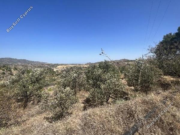 land for sale xyliatos nicosia 1443616 image 6814534