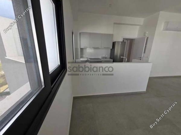2 bedroom apartment for rent latsia nicosia 8752716 image 16505221