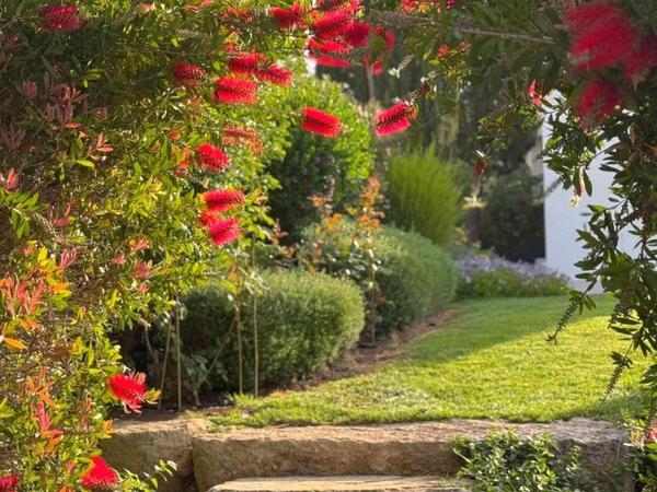 4 bedroom bungalow for sale aphrodite hills paphos 8597716 image 16234450