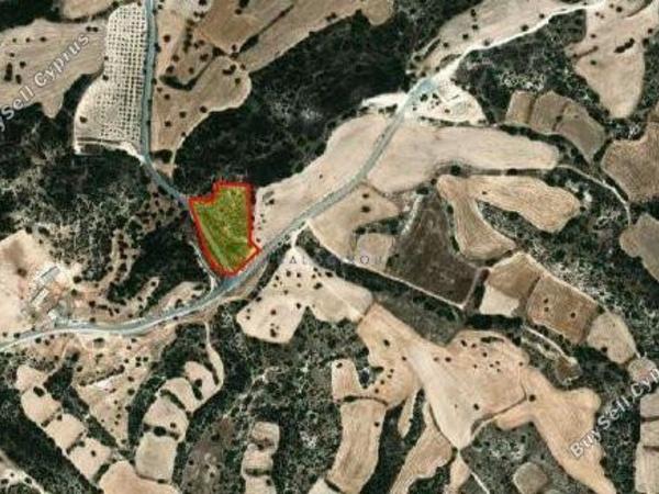 land for sale agios theodoros larnacas larnaca 1745716 image 5726497