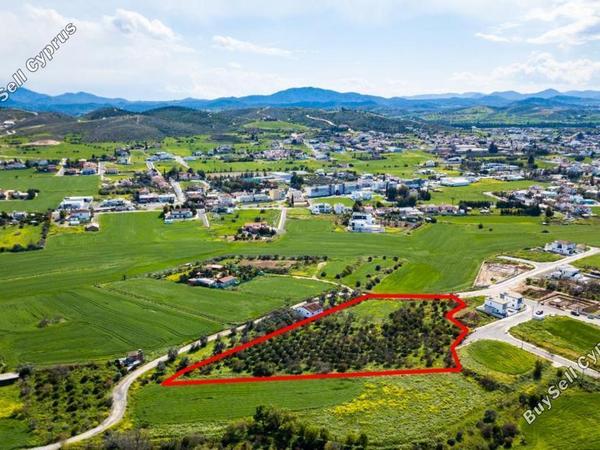 land for sale dali nicosia 839716 image 13353479