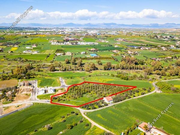 land for sale dali nicosia 839716 image 13353481