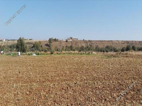 land for sale orounta nicosia 8145716 image 13422717