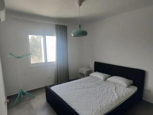 1 bedroom apartment for rent dekeleia larnaca 8698816 image 16208940