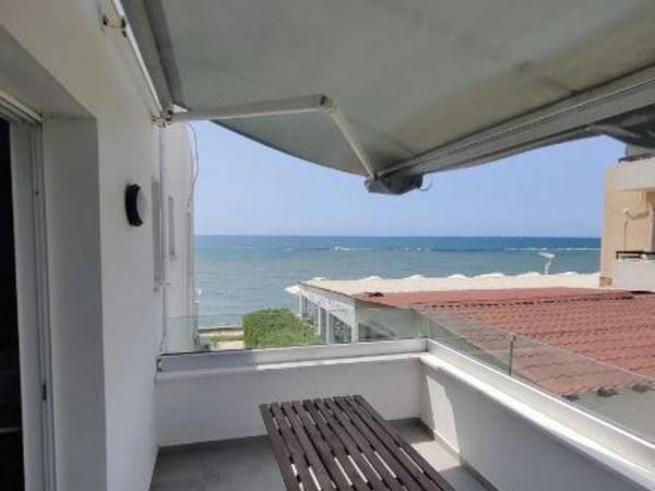 1 bedroom apartment for rent dekeleia larnaca 8698816 image 16208944