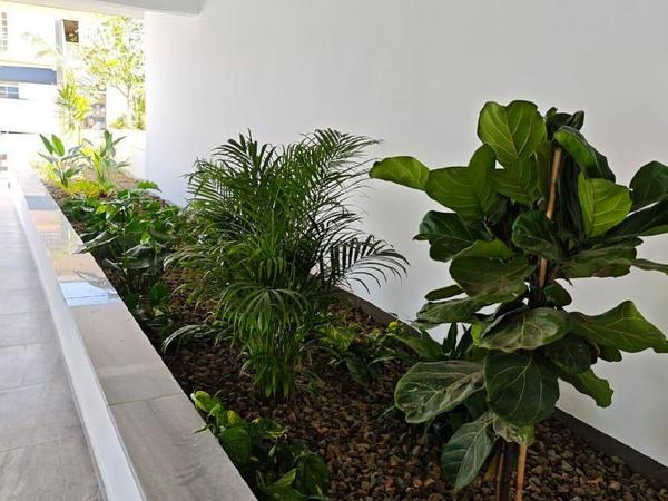 2 bedroom apartment for sale omonoia limassol 8185816 image 13619404