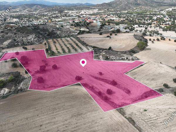 land for sale anglisides larnaca 1368816 image 2592171