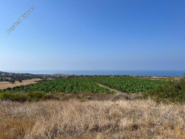 land for sale kouklia pafou paphos 7737816 image 10195174