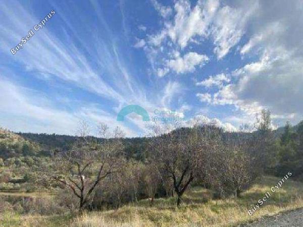 land for sale xyliatos nicosia 1938816 image 7671383