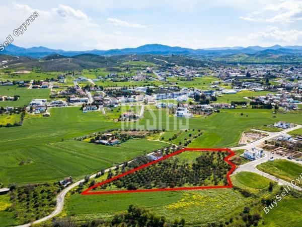 plot for sale dali nicosia 975816 image 11041952