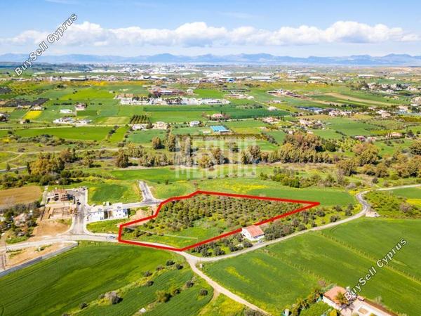 plot for sale dali nicosia 975816 image 11041954