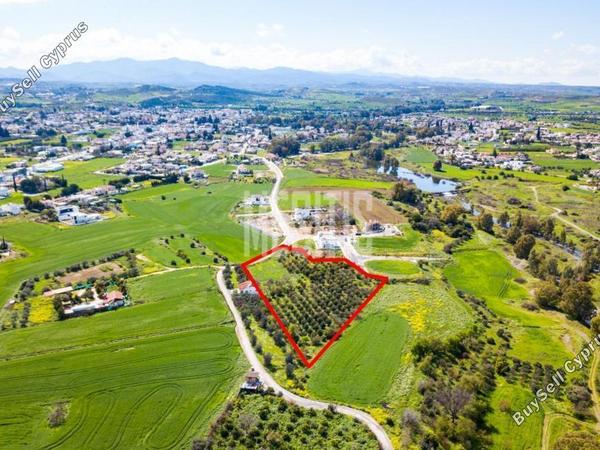 plot for sale dali nicosia 975816 image 14055457