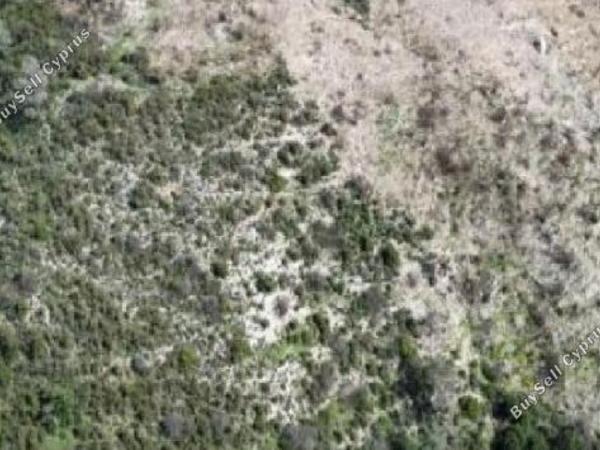 land for sale gerasa limassol 1882916 image 16269554