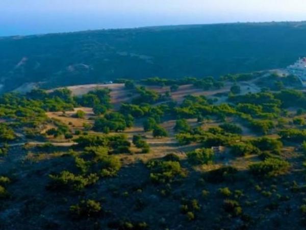land for sale pissouri limassol 7735916 image 10175005