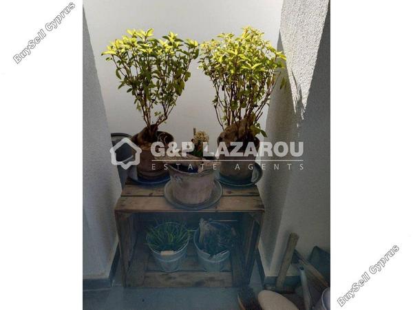 1 bedroom apartment for sale agios dometios nicosia 8249026 image 13865046