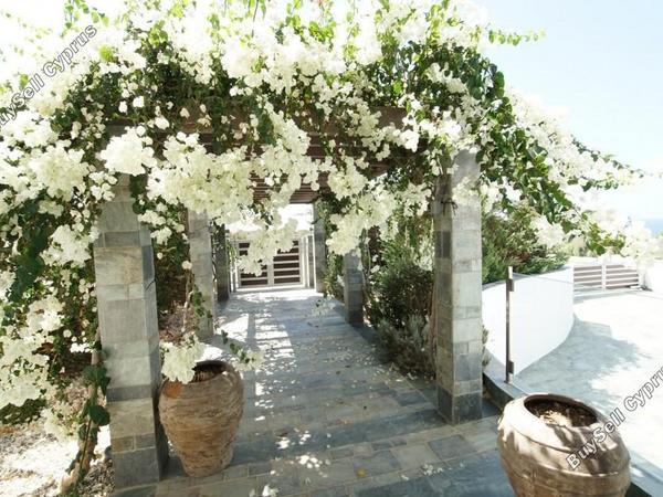 6 bedroom detached house for sale sea caves peyia paphos 7740026 image 12582452