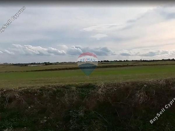land for sale aradippou larnaca 8255026 image 15469485