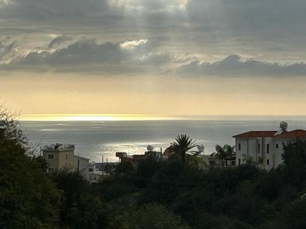 land for sale peyia paphos 8375026 image 14608083