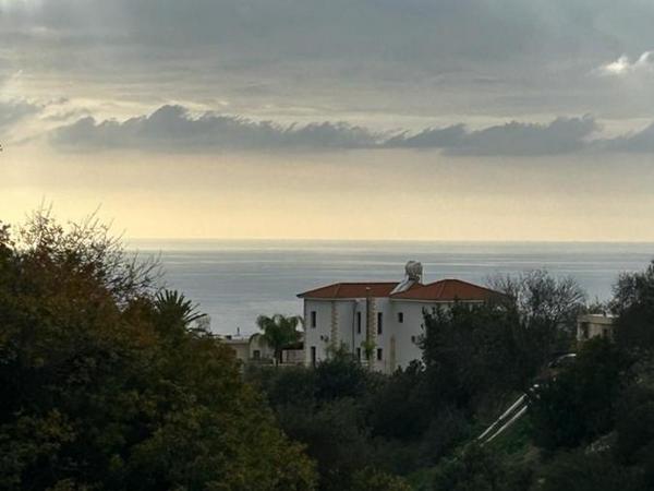 land for sale peyia paphos 8375026 image 14608084