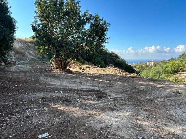 land for sale peyia paphos 8375026 image 14608087
