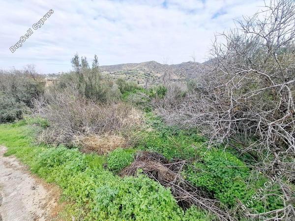 land for sale pomos paphos 1667026 image 4297425