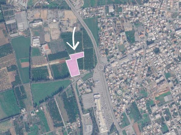 land for sale zakaki limassol 8834026 image 17217445