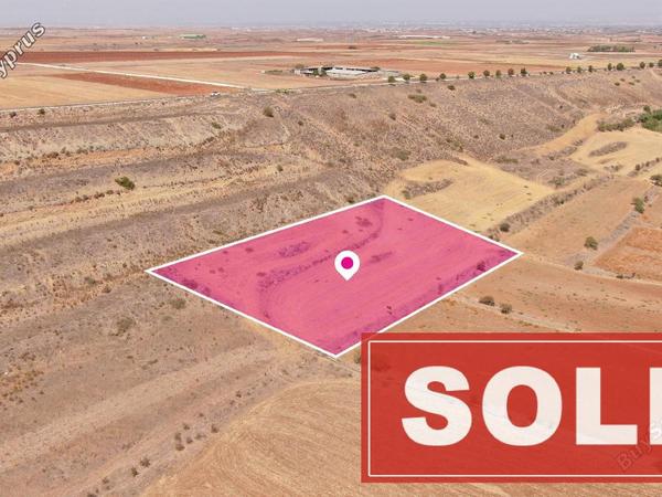 land sold orounta nicosia 1215026 image 3340947