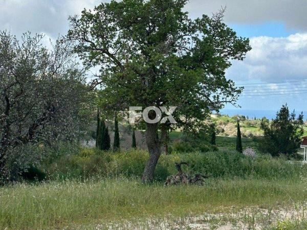 plot for sale armou paphos 7784026 image 10407078