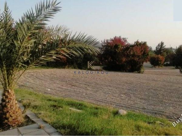 land for sale choirokoitia larnaca 1268126 image 5619748