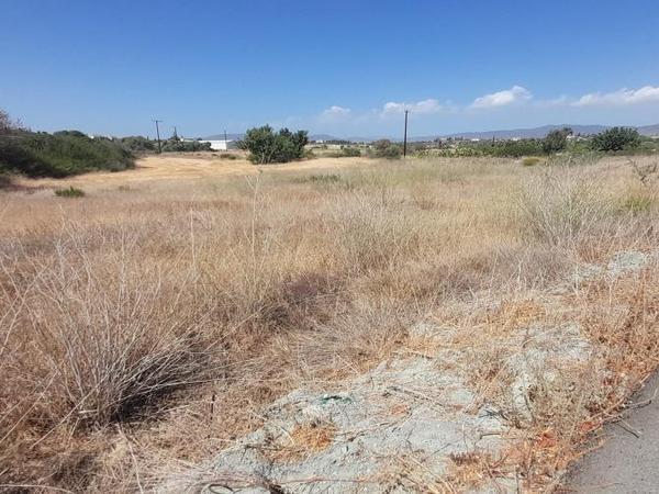 land for sale moni limassol 1181126 image 16193741