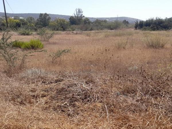 land for sale moni limassol 1181126 image 16193746