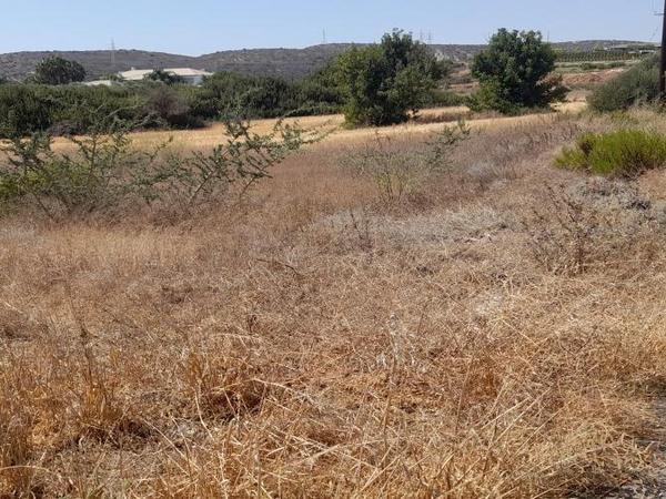 land for sale moni limassol 1181126 image 16193748
