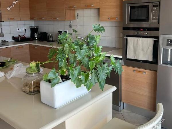 3 bedroom apartment for rent mesa gitonia limassol 7514226 image 14721777