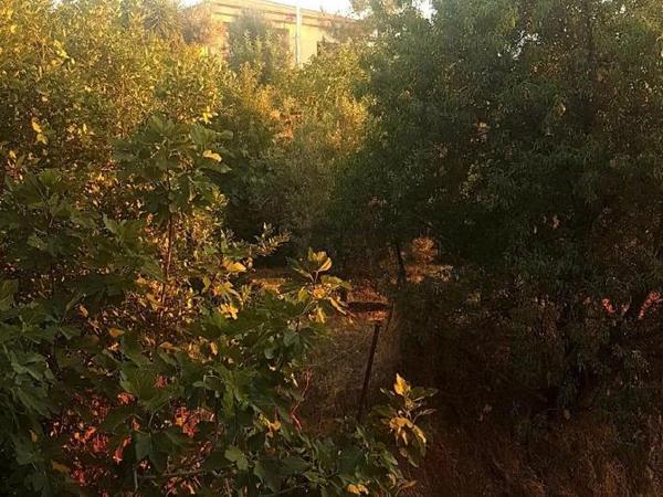 3 bedroom detached house for sale evrychou nicosia 8743226 image 16411552