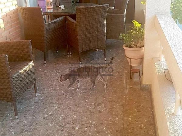 3 bedroom detached house for sale evrychou nicosia 8743226 image 16411557