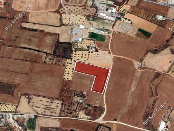 land for sale psimolofou nicosia 8716226 image 16295216