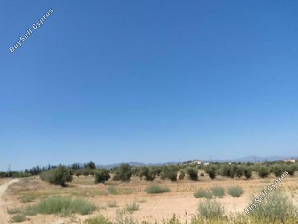 land for sale psimolofou nicosia 8716226 image 16295217